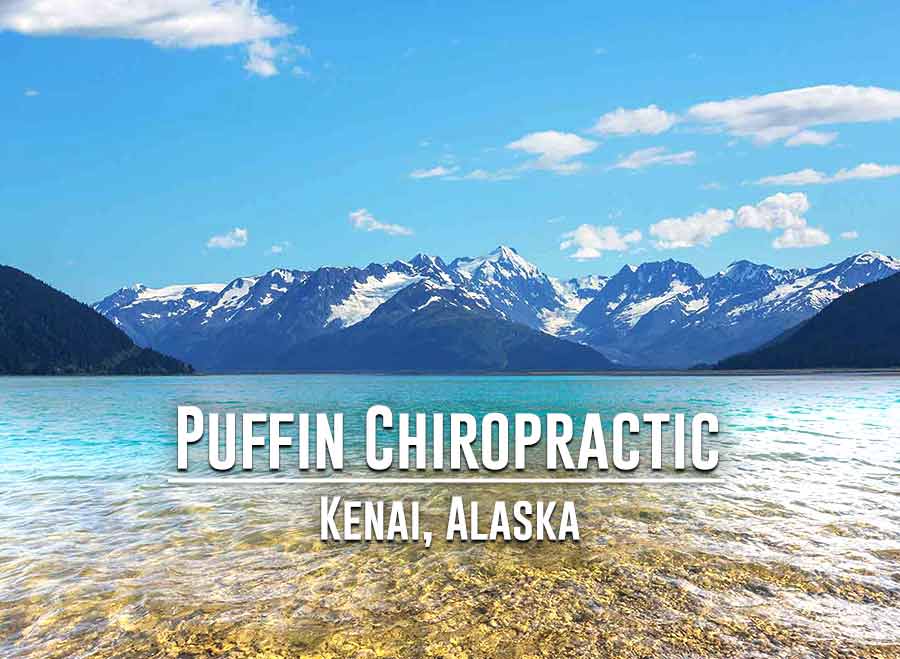 Puffin Chiropractic